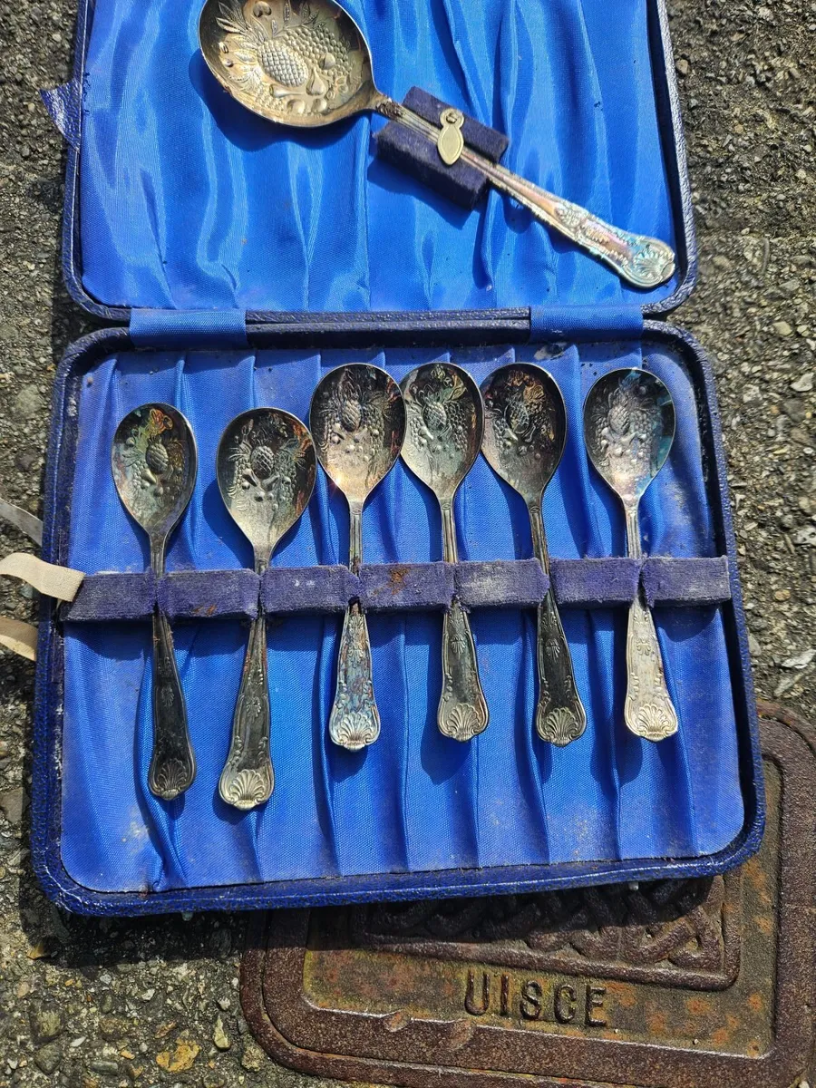 Vintage EPNS Spoon Set - Image 1