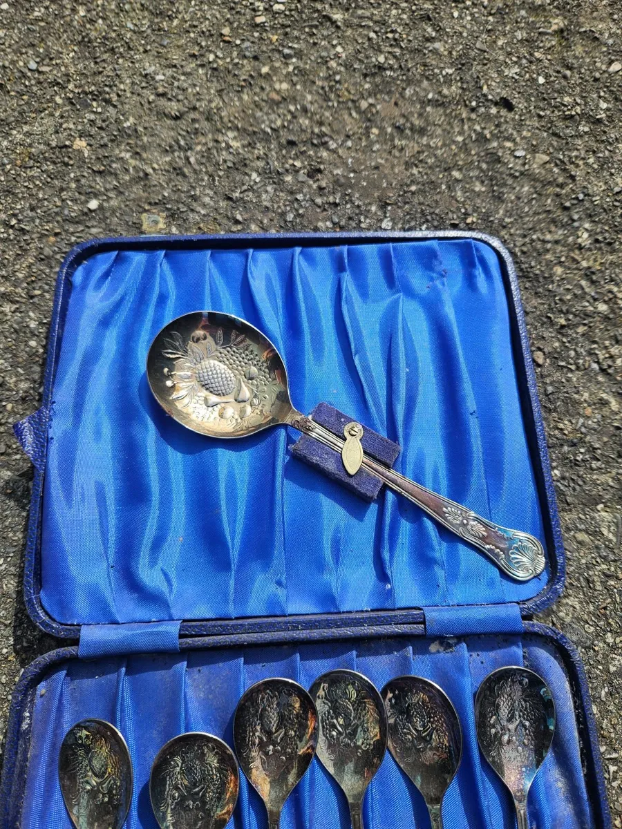 Vintage EPNS Spoon Set - Image 2