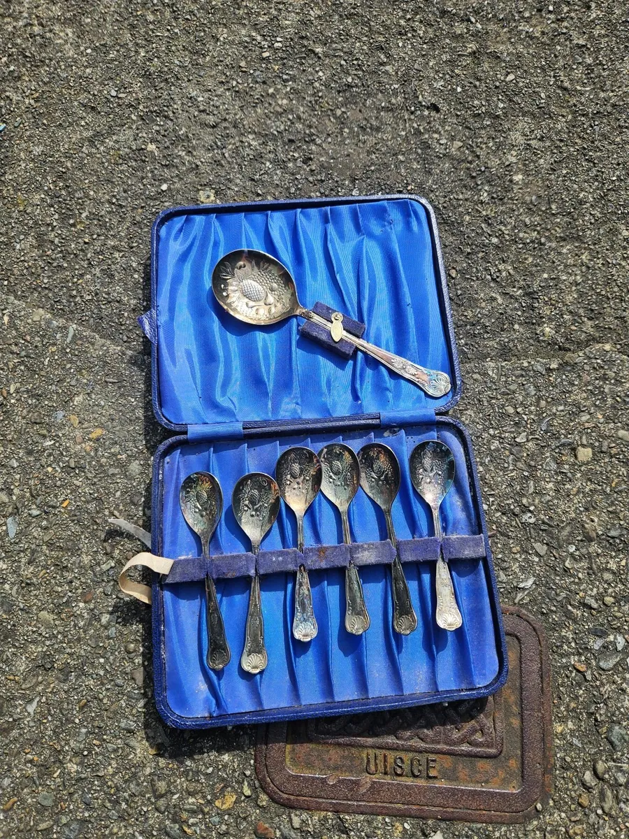 Vintage EPNS Spoon Set - Image 3