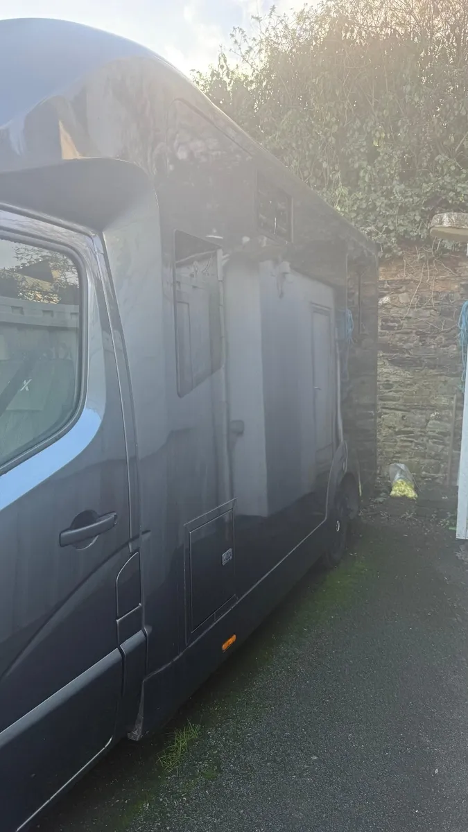 Stephex 2 horse Van - Image 2