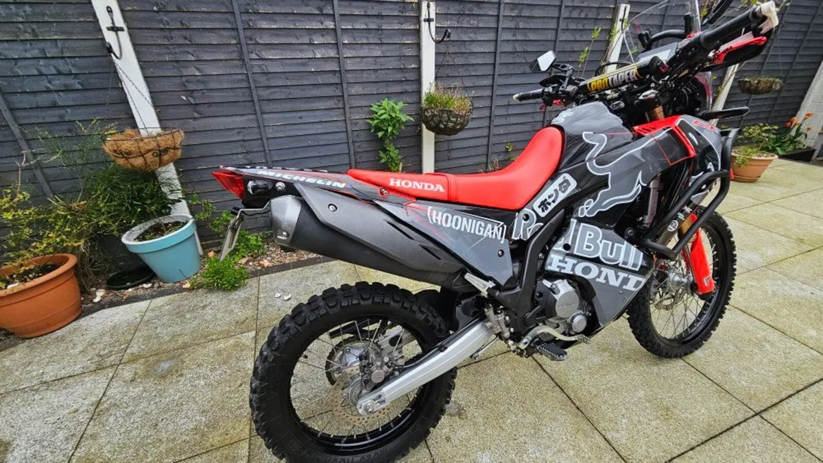 Honda CRF RALLY L 2022 - Image 2
