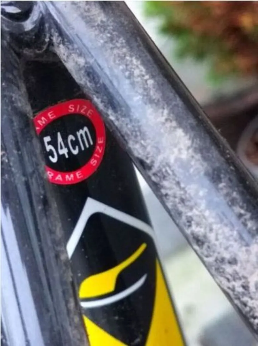 Carrera TDF LTD Road Bike - Image 2