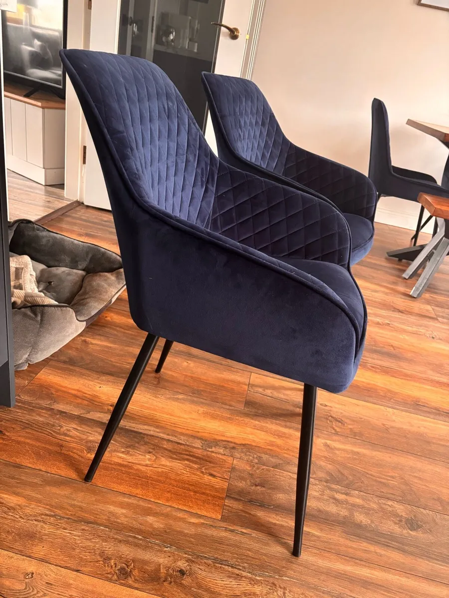 Navy Blue Hamilton Dining Chairs from Next - Image 2