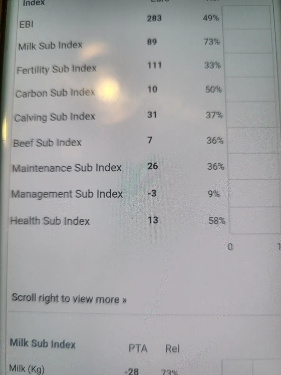 Pbr high Ebi bull calf - Image 4