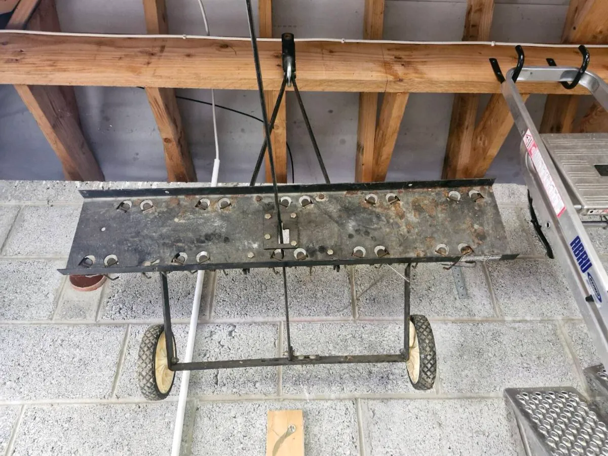 Grass moss rake - Image 1