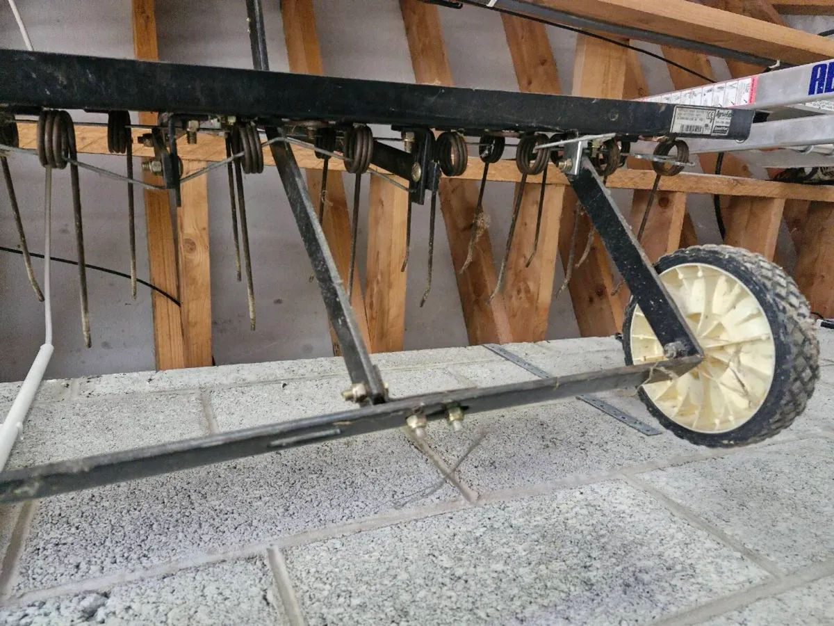 Grass moss rake - Image 2