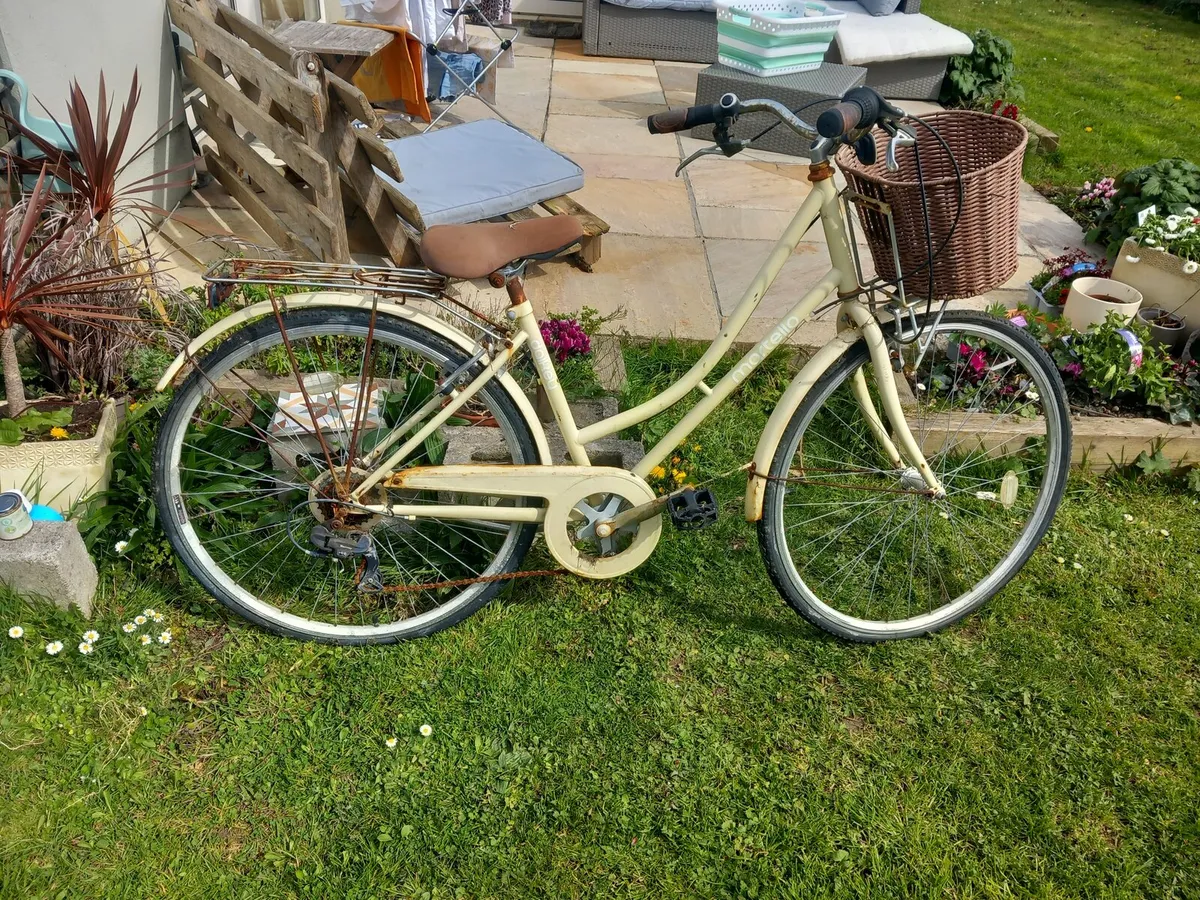 Bicycles × 3 - Image 3