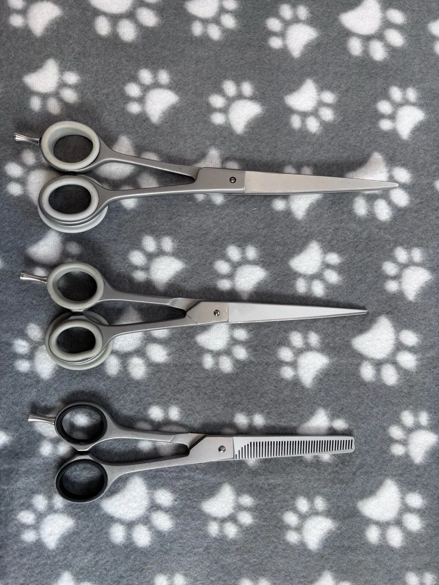 Scissors - Image 2