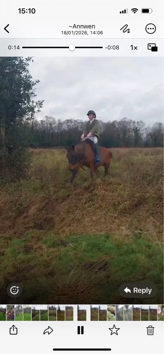 5 yr old 14.2 and 4 yr old 16.2 - Image 2