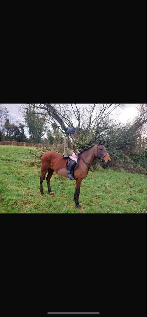 5 yr old 14.2 and 4 yr old 16.2 - Image 1