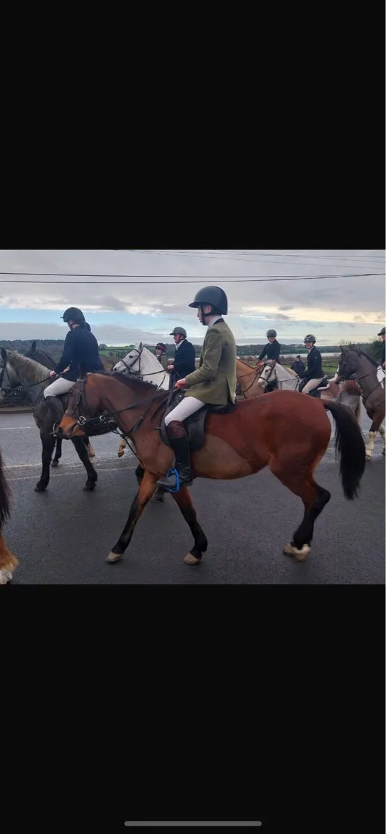 5 yr old 14.2 and 4 yr old 16.2 - Image 4