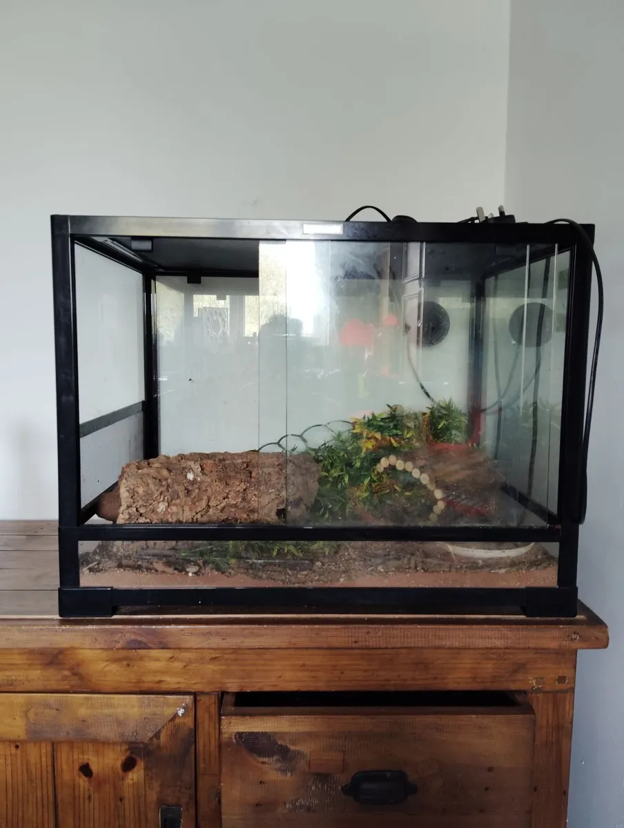 Reptile tank - Image 1