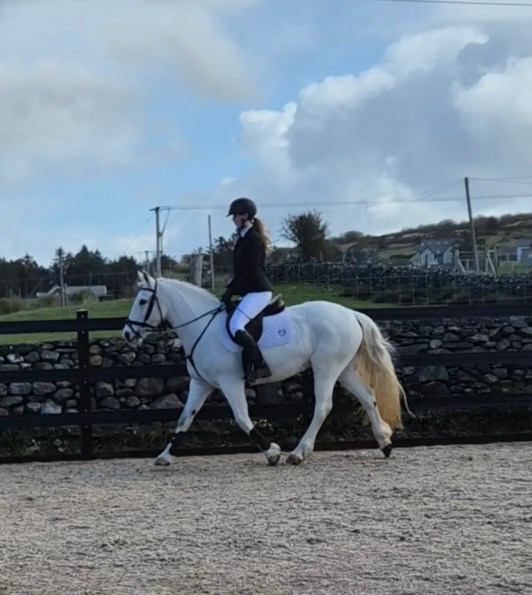 14.3h allrounder - Image 1