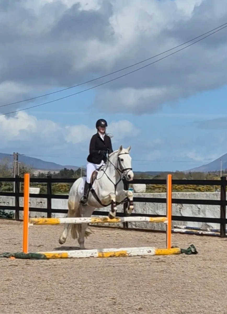 14.3h allrounder - Image 3