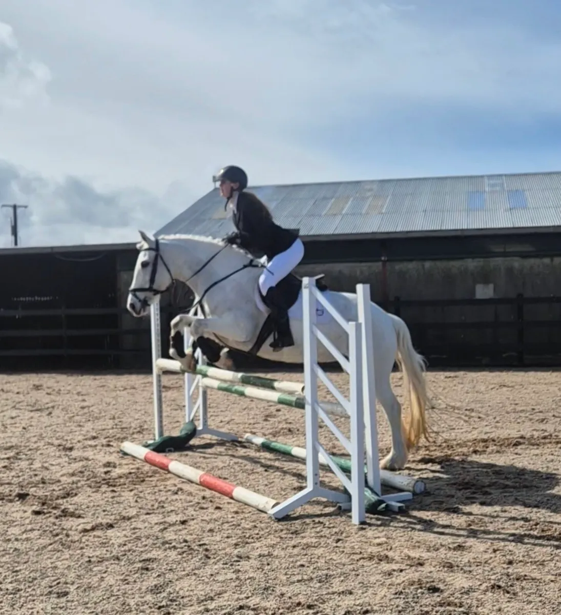 14.3h allrounder - Image 2