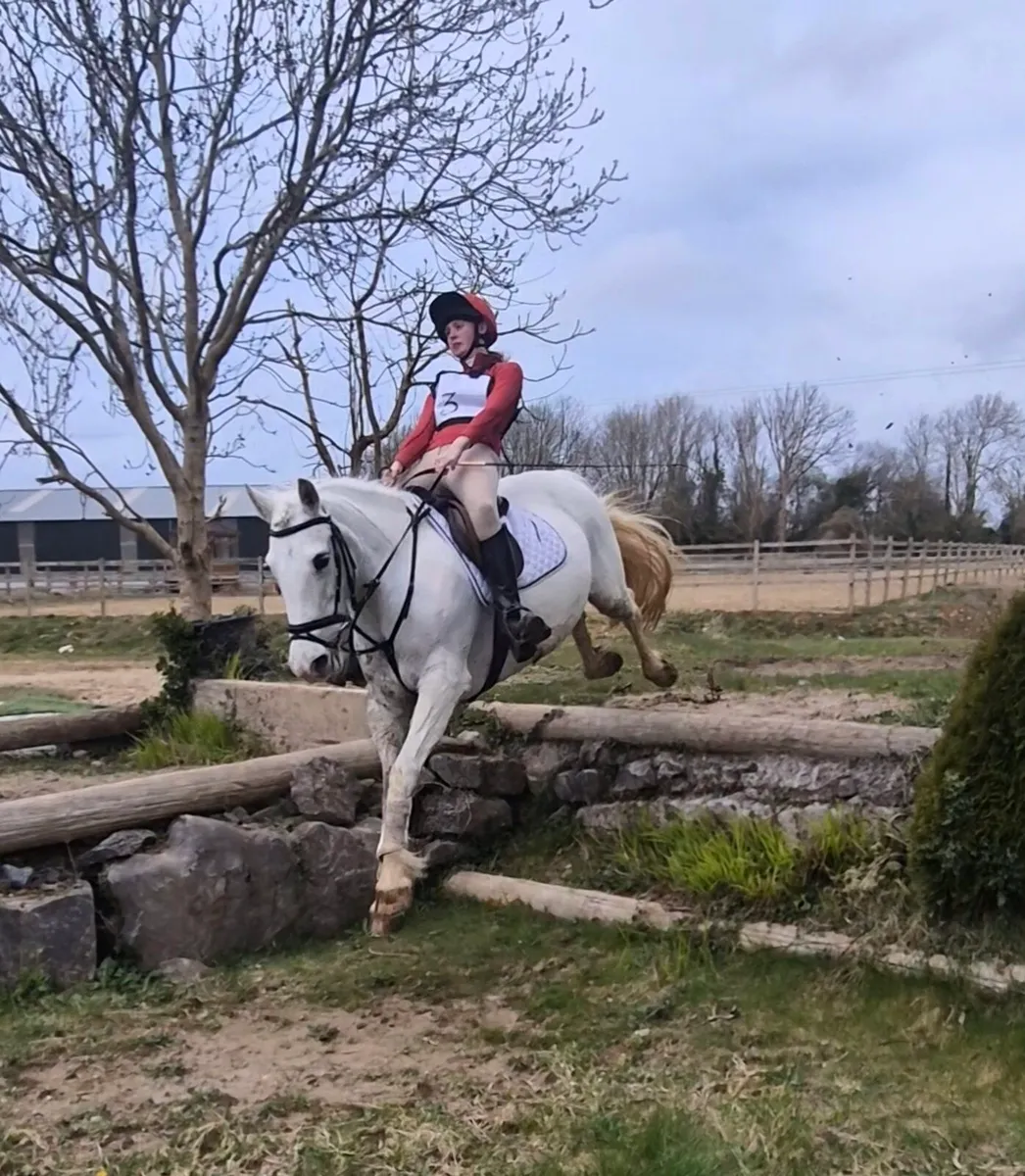 14.3h allrounder - Image 4