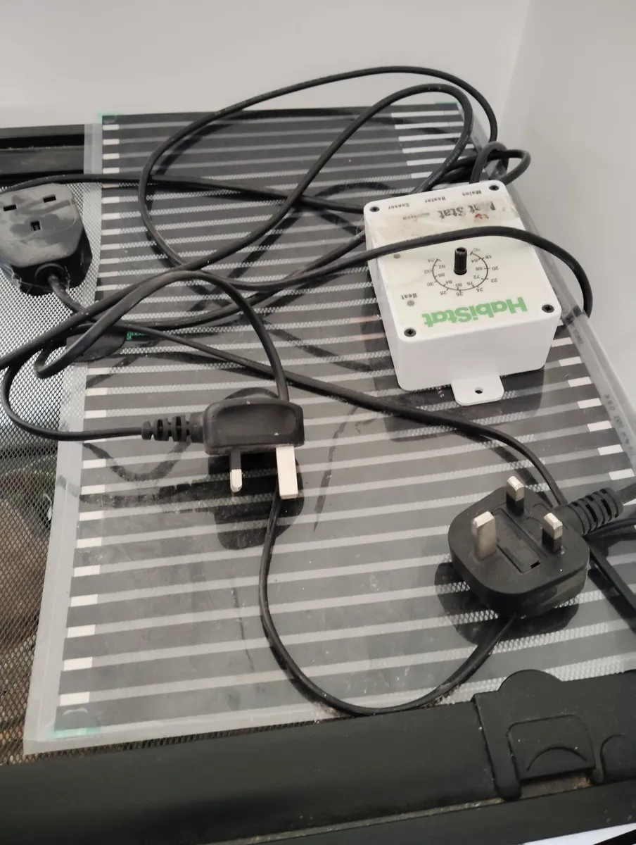 Reptile tank - Image 3