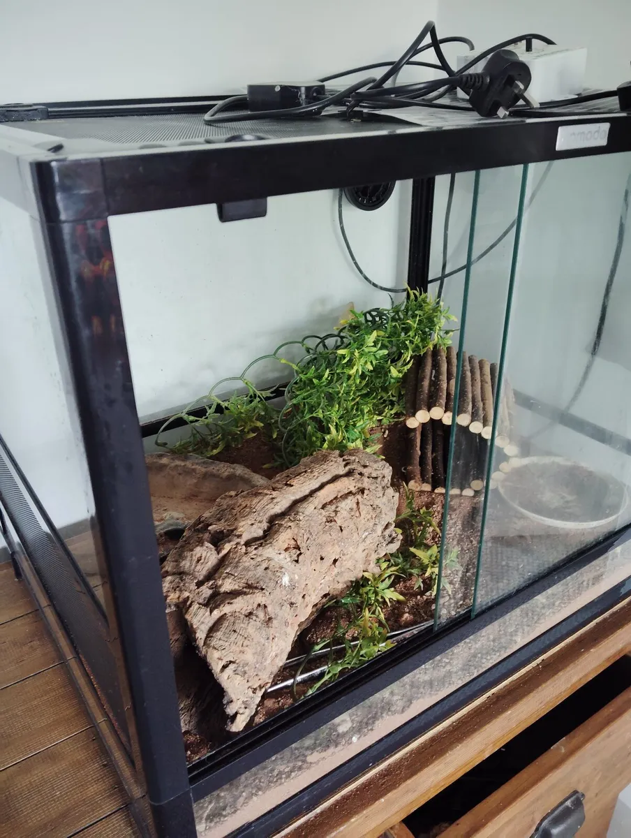Reptile tank - Image 4