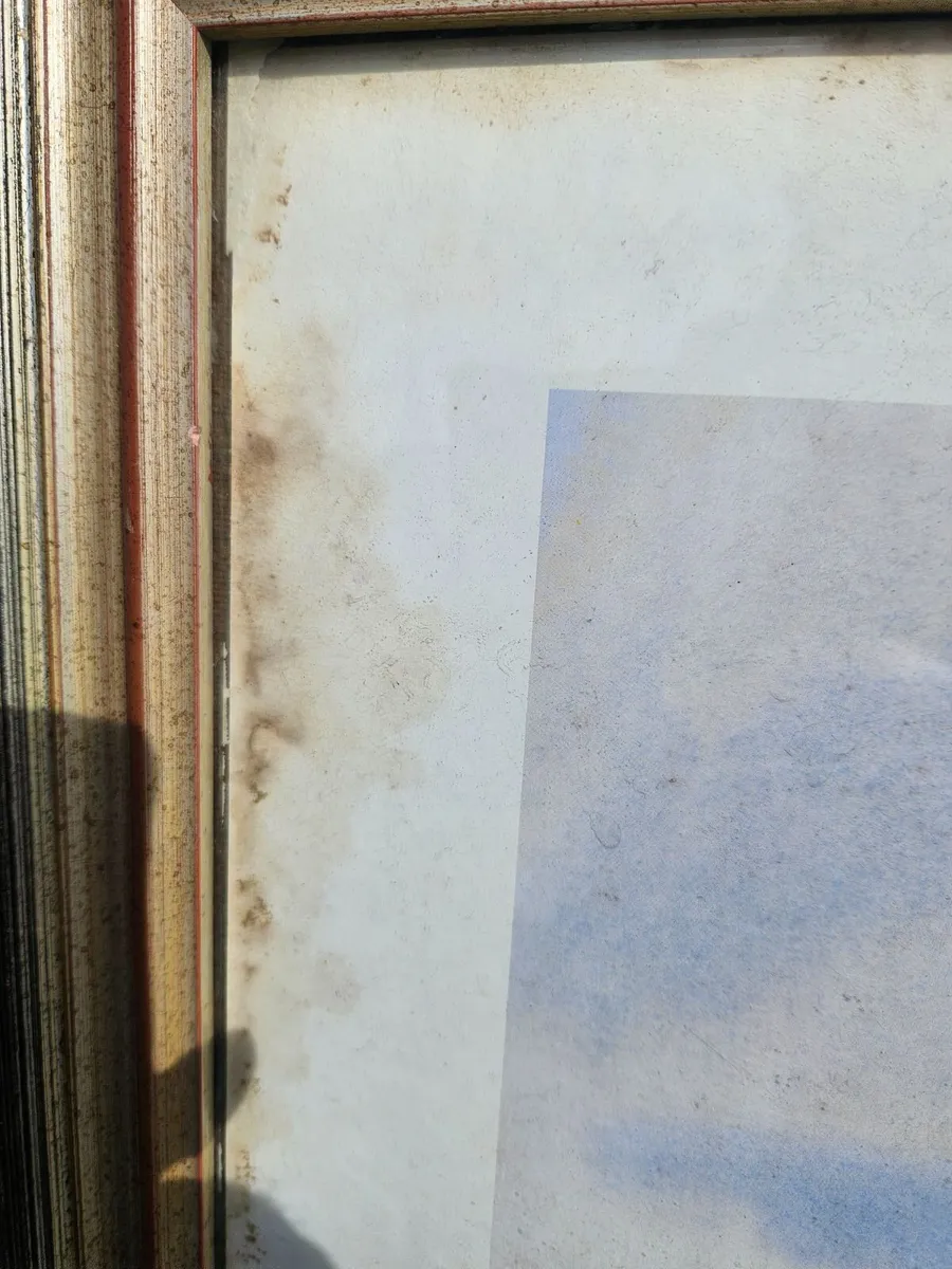 Picture Print P&O Cruises SS Canberra Leaving Belf - Image 3