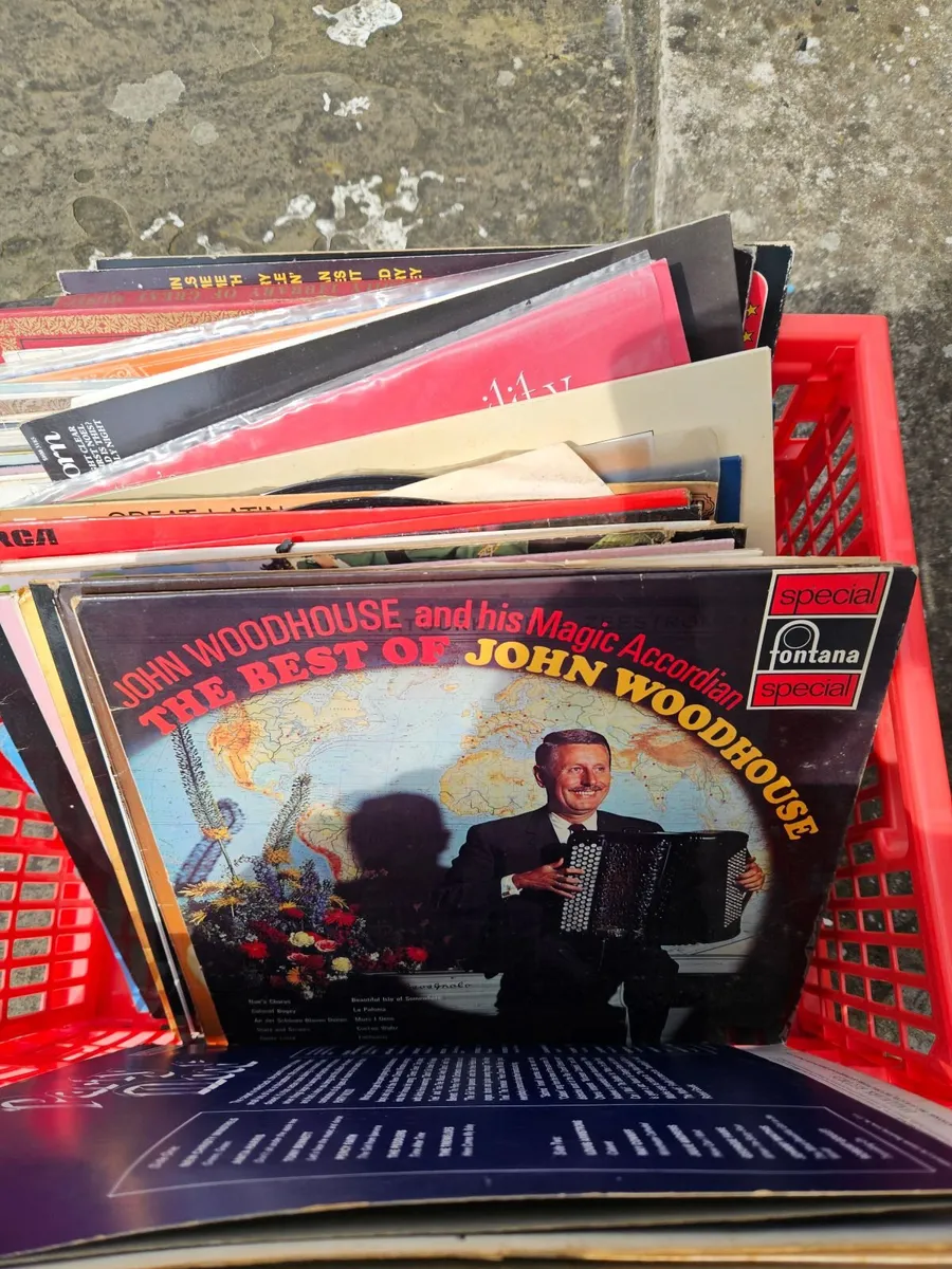 Vintage Records LP's 30 plus - Image 2