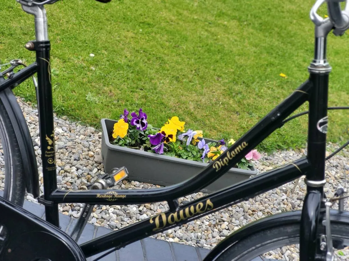 LADIES DAWES DIPLOMA LOVELY CONDITION - Image 2