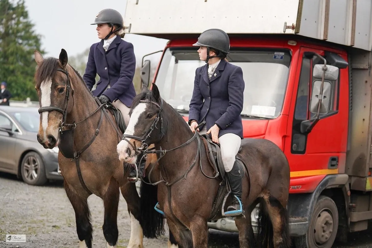 Breaking and schooling livery available - Image 1