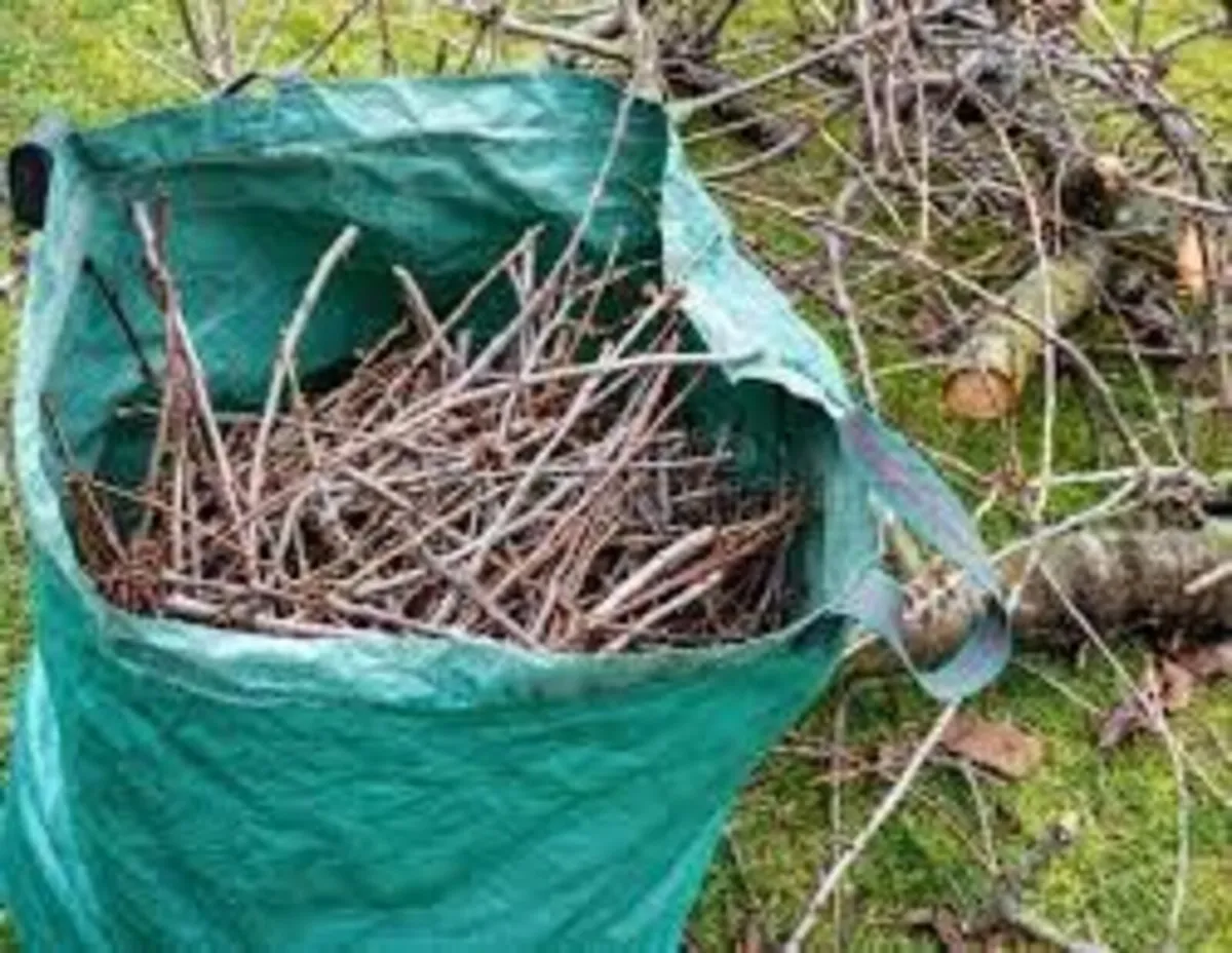 Garden clearance - Image 2