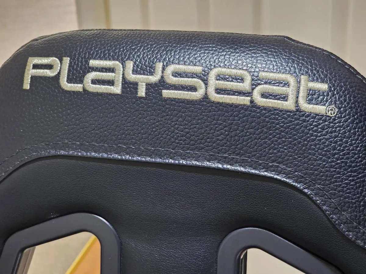 Playseat - Image 4