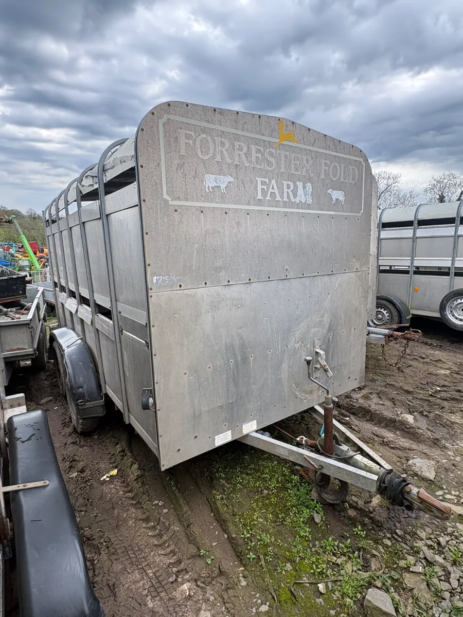 Ifor Williams 12x6 cattle trailer - Image 1