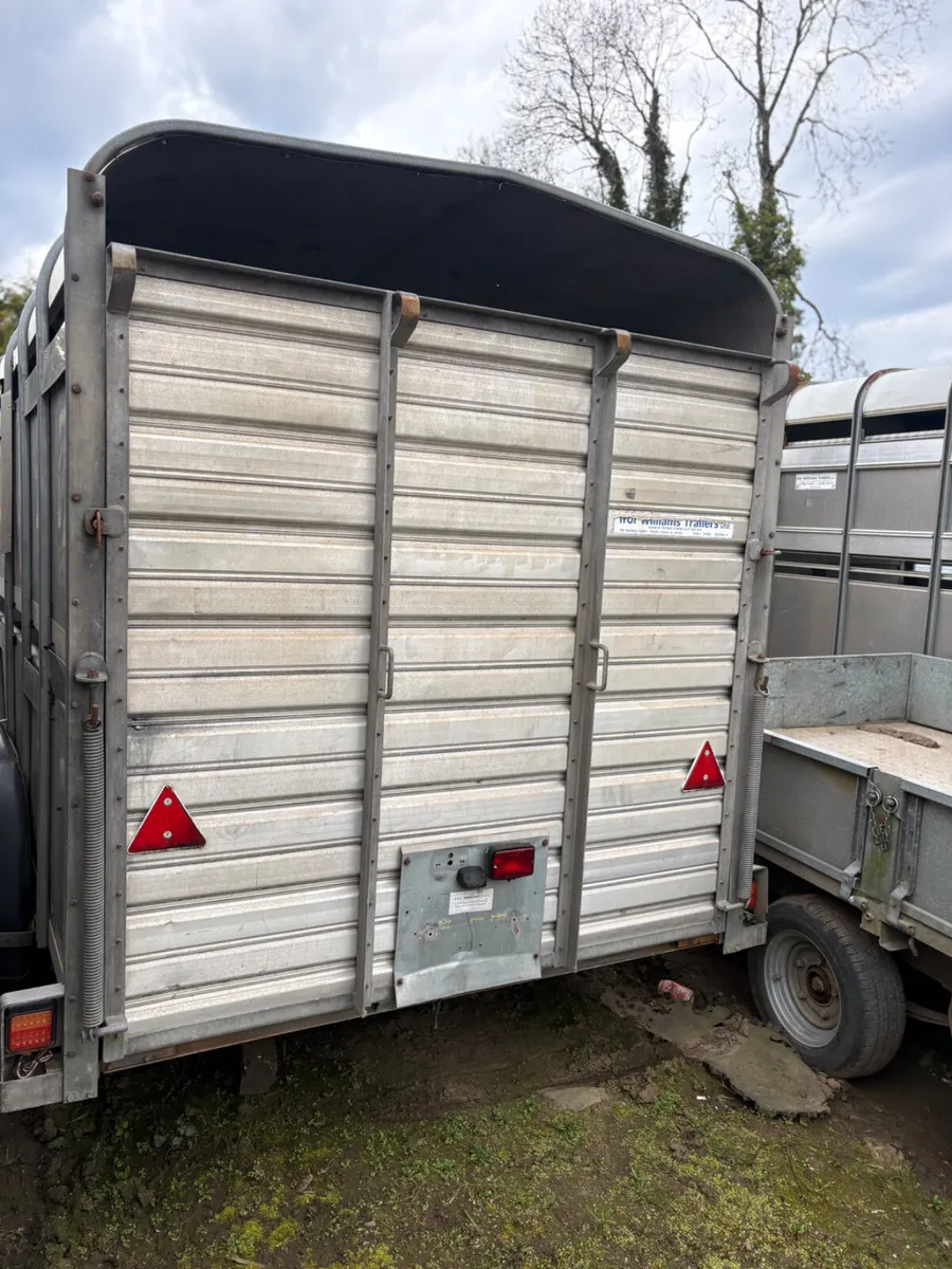 Ifor Williams 12x6 cattle trailer - Image 2