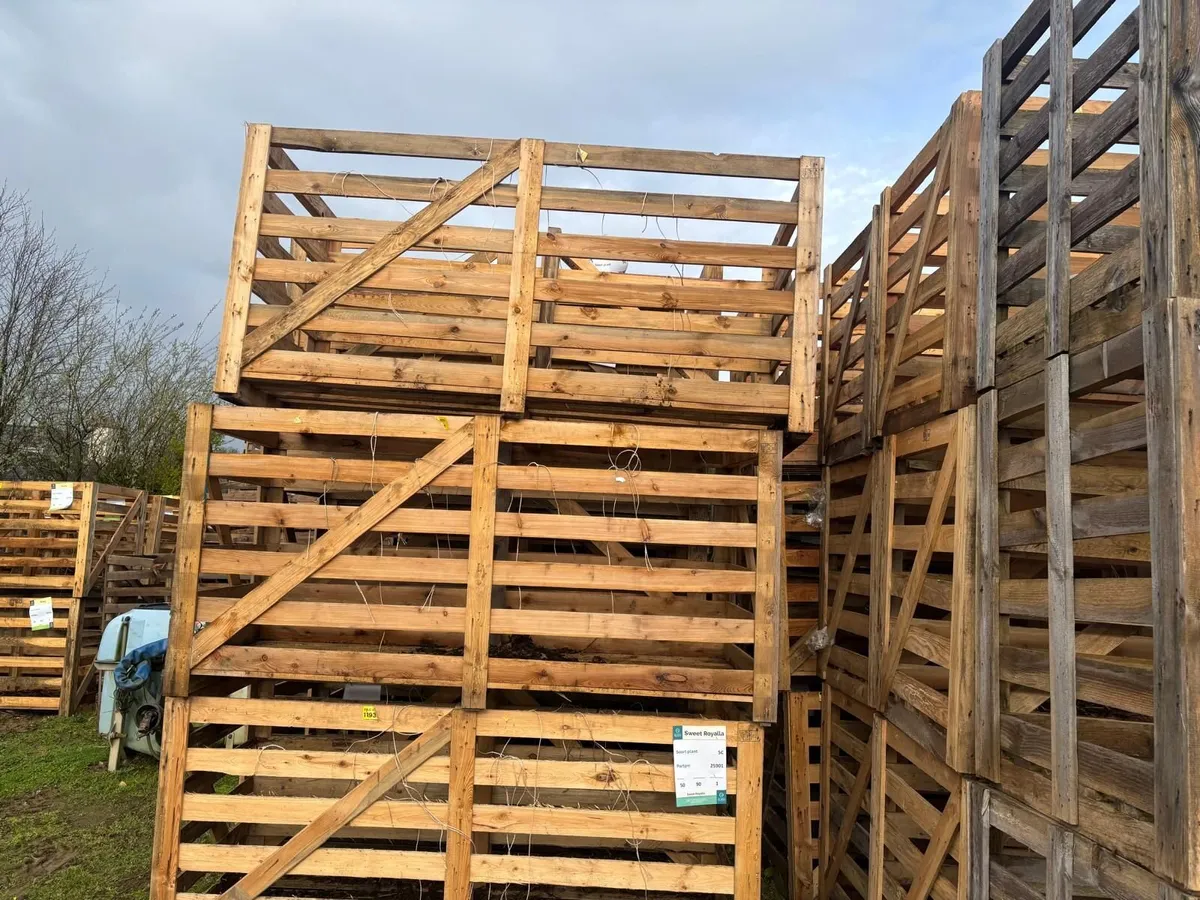 Wooden Crates - Image 2