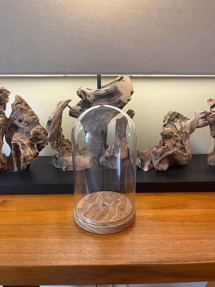 Antique Cloche Glass Dome - Image 1