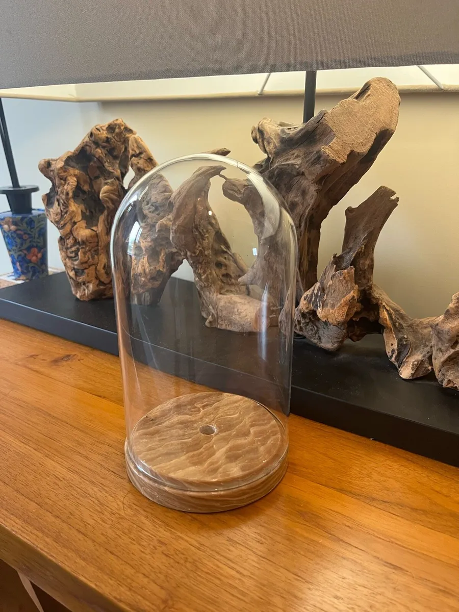 Antique Cloche Glass Dome - Image 2