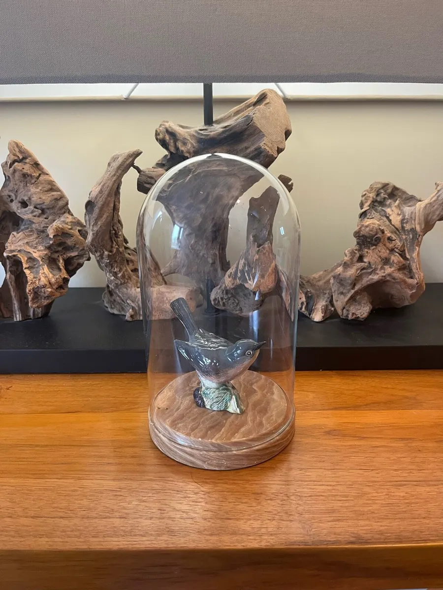 Antique Cloche Glass Dome - Image 4