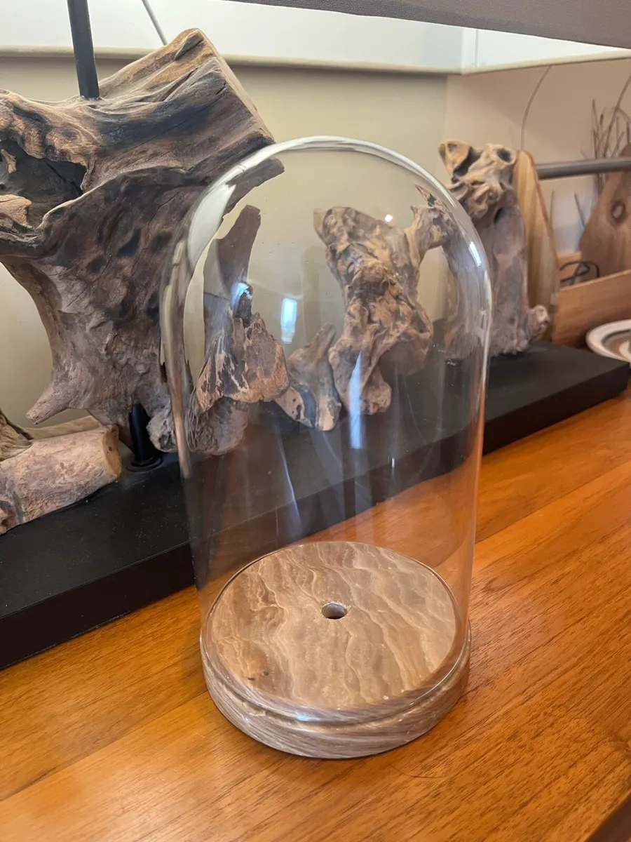 Antique Cloche Glass Dome - Image 3