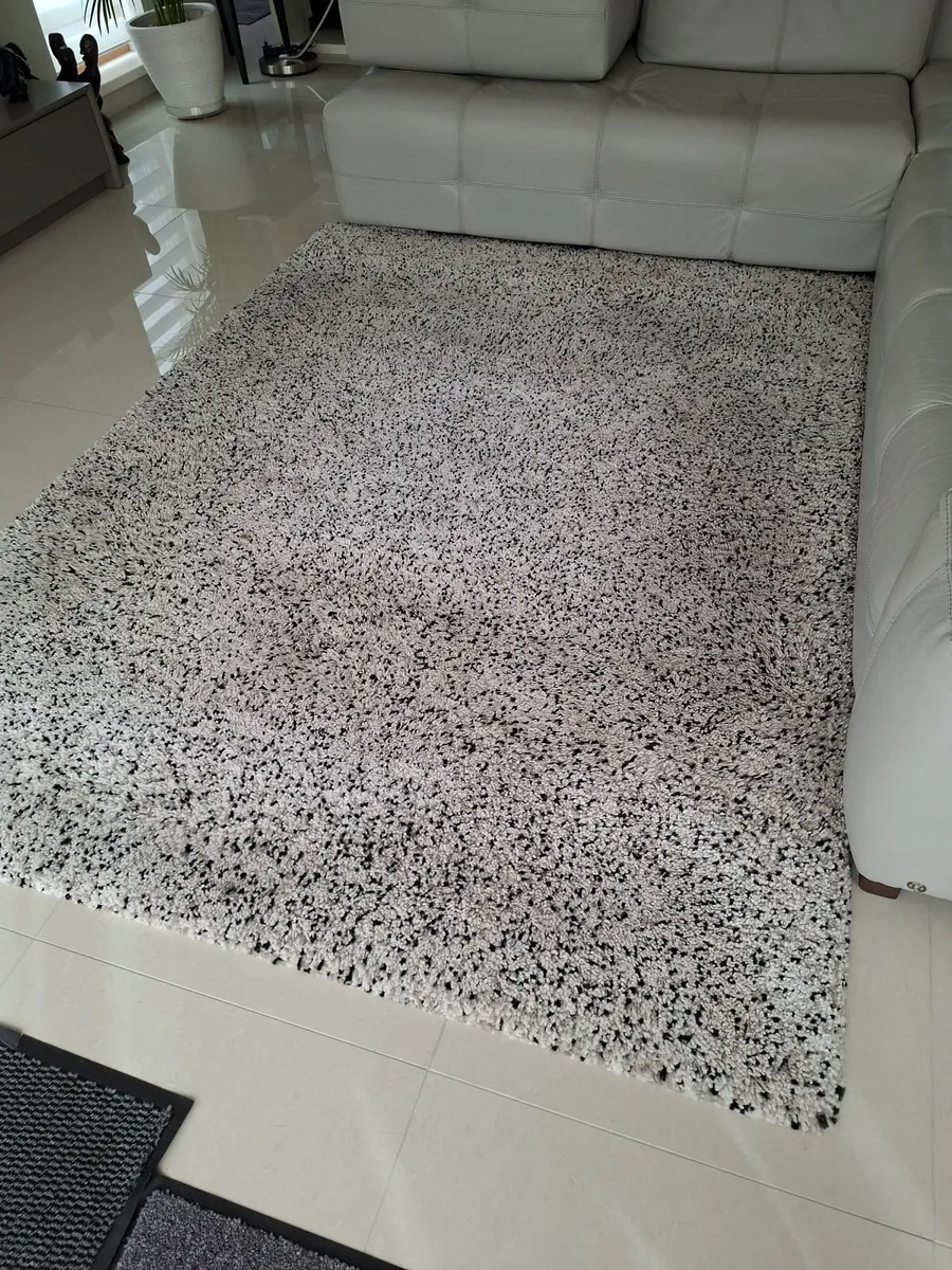 Large Rug - Image 2