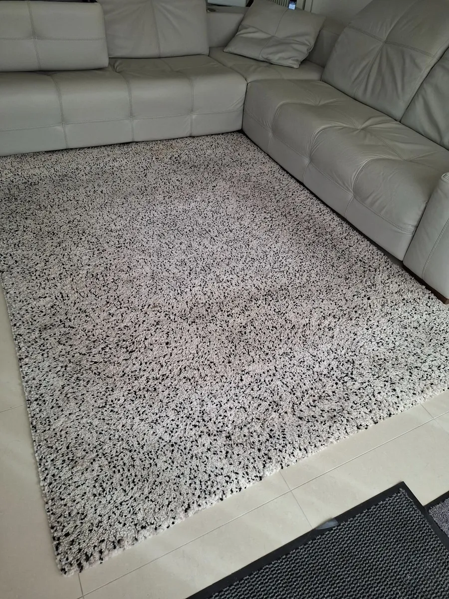Large Rug - Image 1