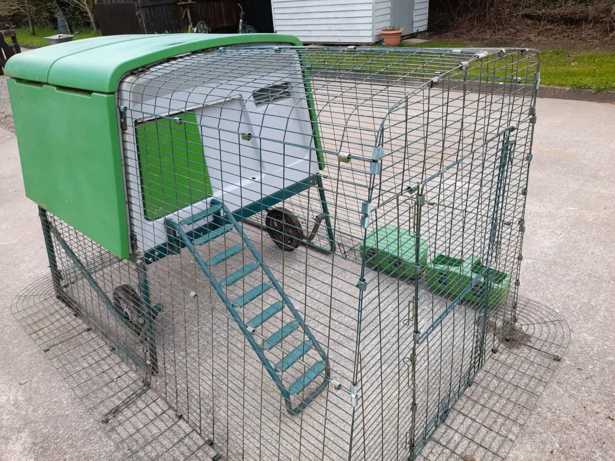 Omlet Eglu - Image 1