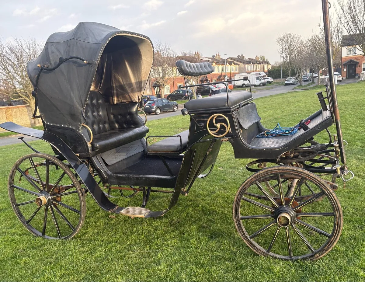 Horse Carriage - Image 2