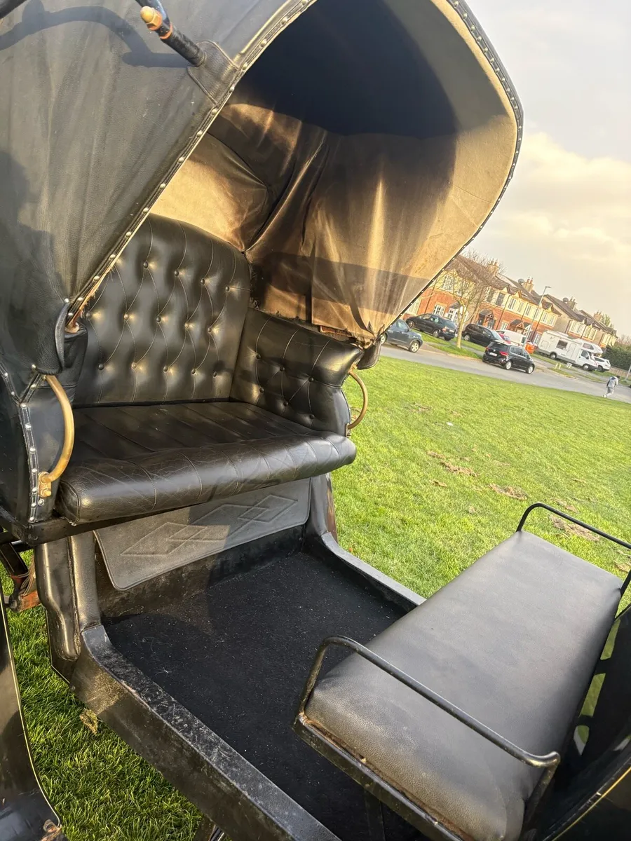 Horse Carriage - Image 3
