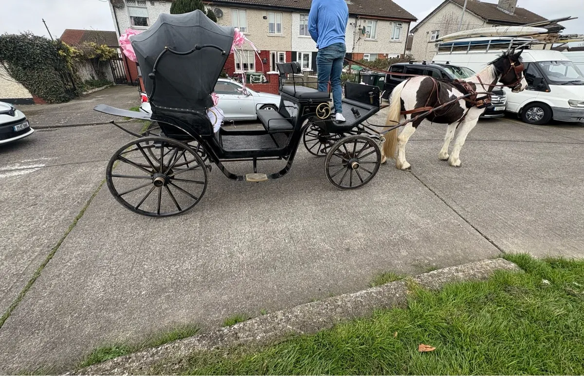 Horse Carriage - Image 4