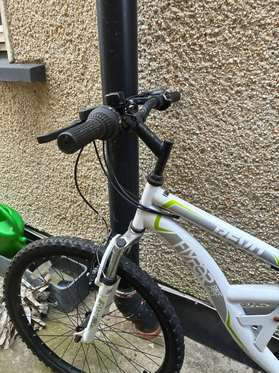 Man’s mountain Bike - Image 1