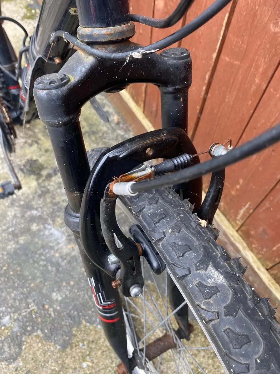 Apollo slant - Image 4