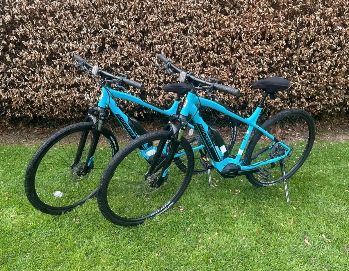 Ridgeback Arcus X2 Electric Bikes - Low Mileage - Image 1