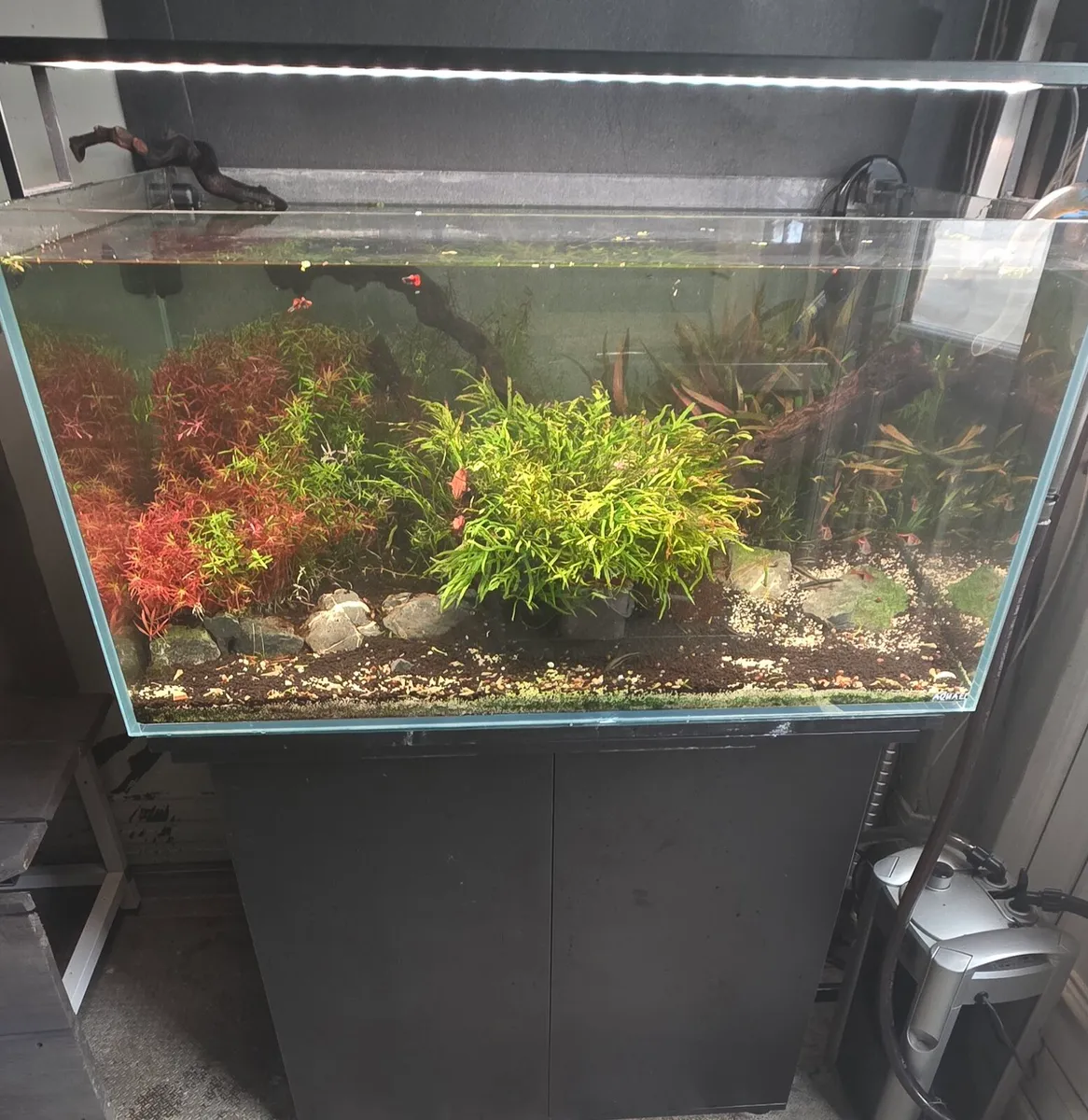 245 liter opti white tank - Image 1