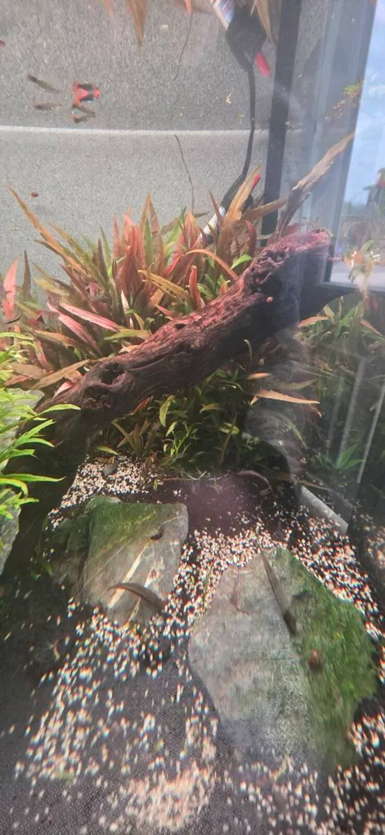 245 liter opti white tank - Image 4