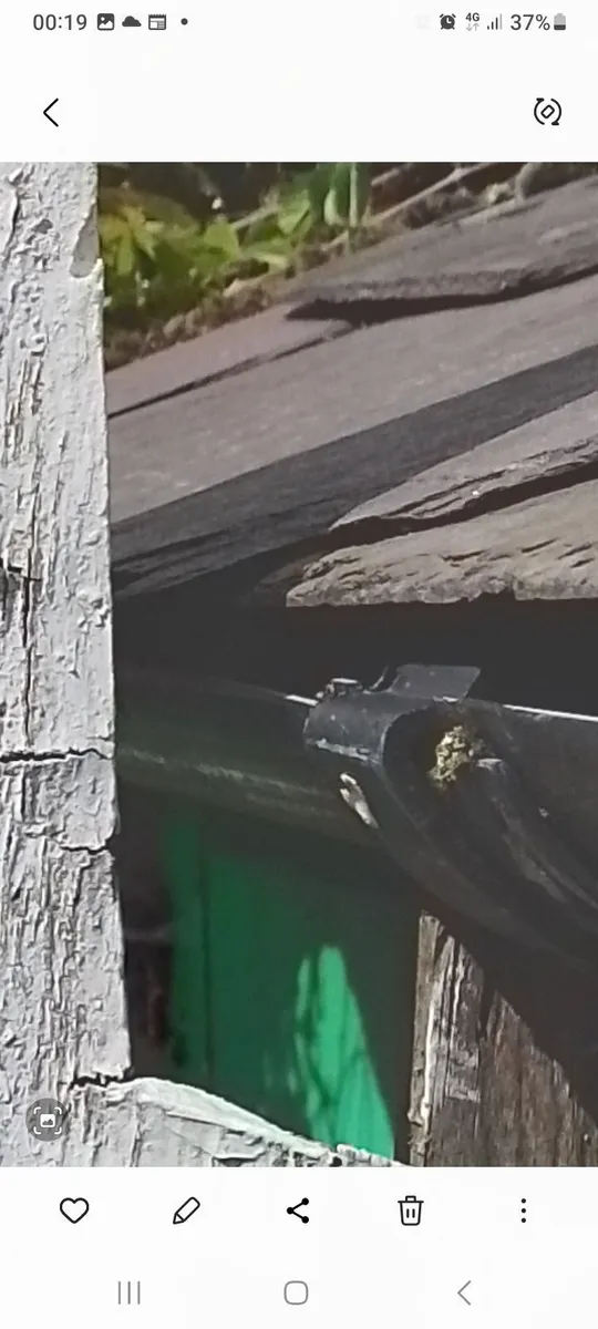 Crossdresser?lingerie leatherlook novelties. - Image 3