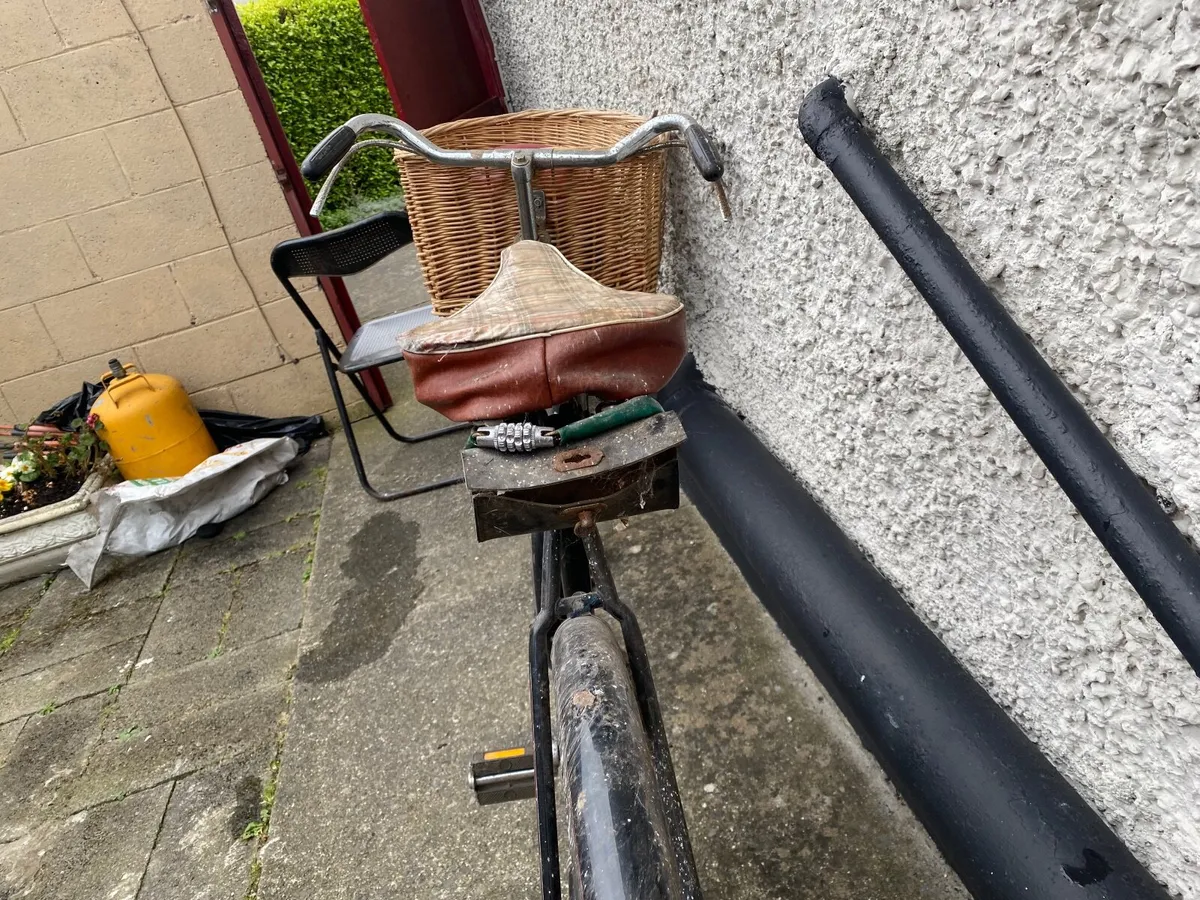 High nelly bike - Image 1