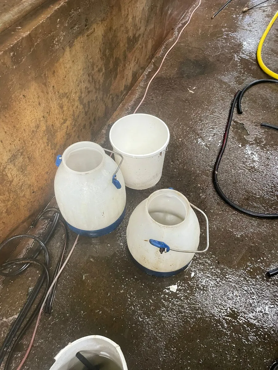 Dairy Farm Assistant (part time)