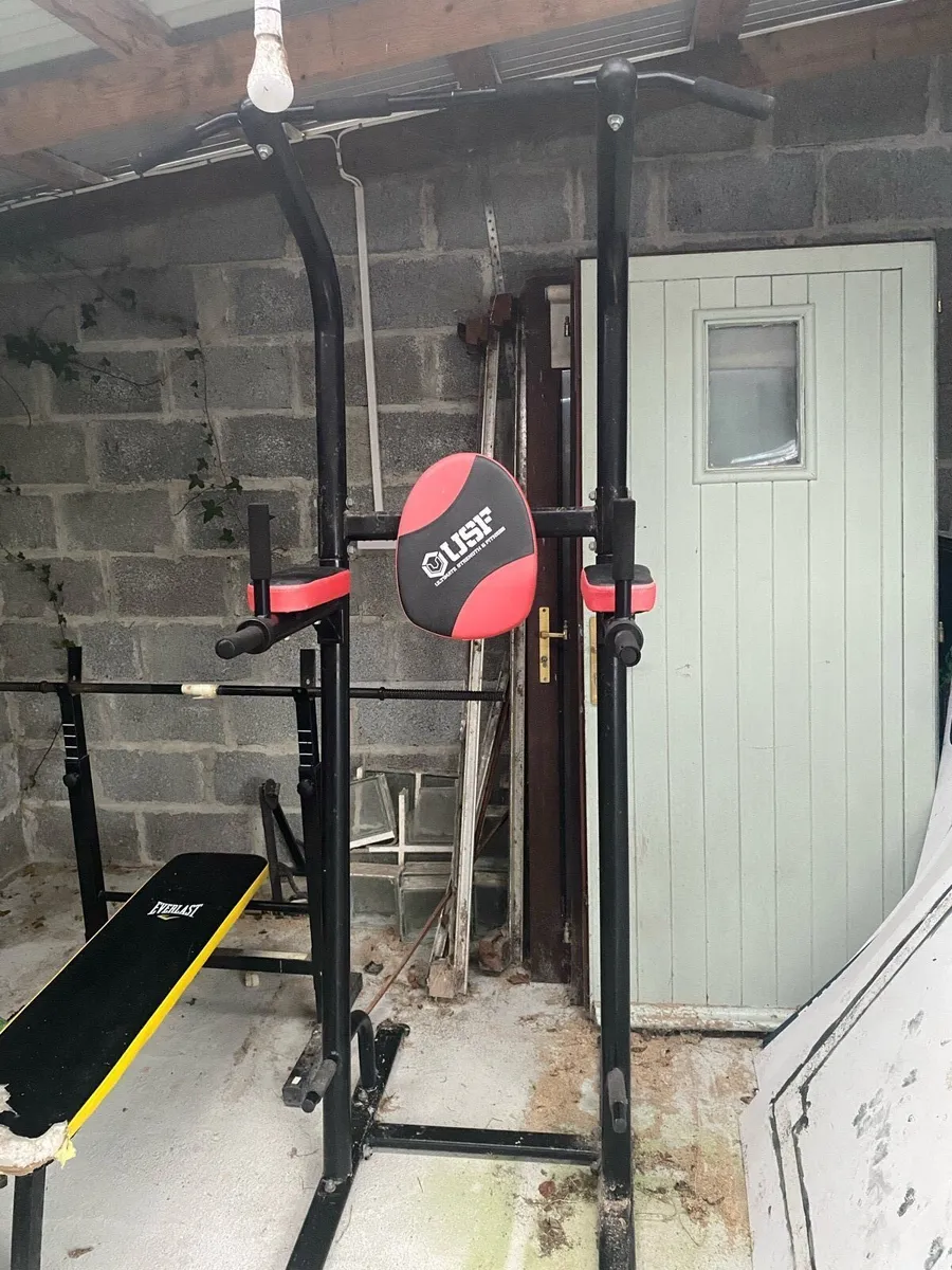 Pull up/ dip bar - Image 1